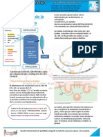 Regulación de La Glicemia: Glucosa