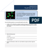 p53 Cancer Click Learn Worksheet