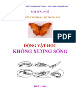 DV Ko Xuong Song 7284
