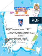 Endodoncia Colaborativo II