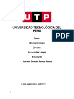 Informe Test Stroop