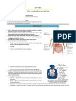 Modul Anfis Sistem Pencernaan PBM Daring