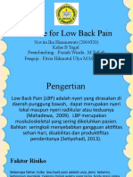 Exercise For Low Back Pain