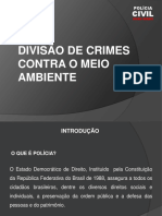 Policia Civil de Minas Gerais - Divisão de Crimes Ambientais Contra Meio Ambiente