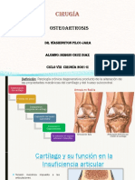 Osteoartrosis Sergio Cruz