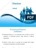 Professional Practices Course Overview