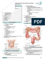 Gross Anatomy of The Appendix, Colon, Rectum, and Anus