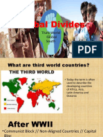 Global Divides: Third World Global South