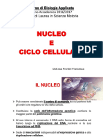 Nucleo e Ciclo Cellulare