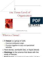 ch04 Tissue Level of Organization V 2 Student