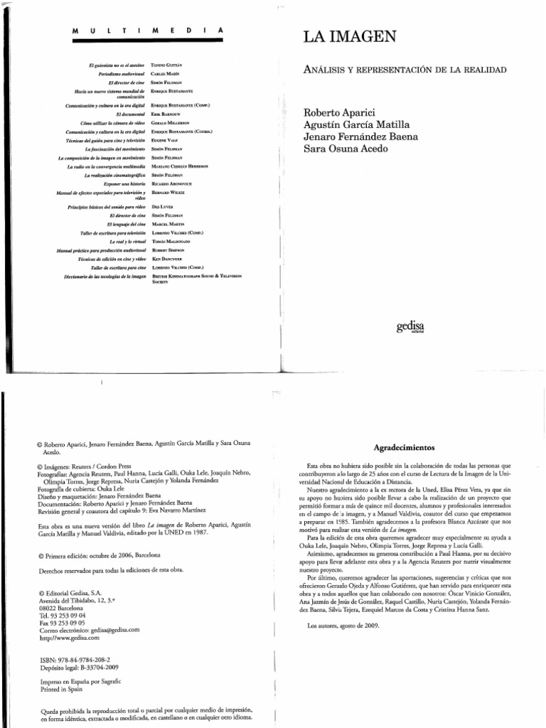 La Imagen. Análisis y Representación de La Realidad | PDF