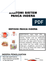 Anatomi Sistem Panca Indera