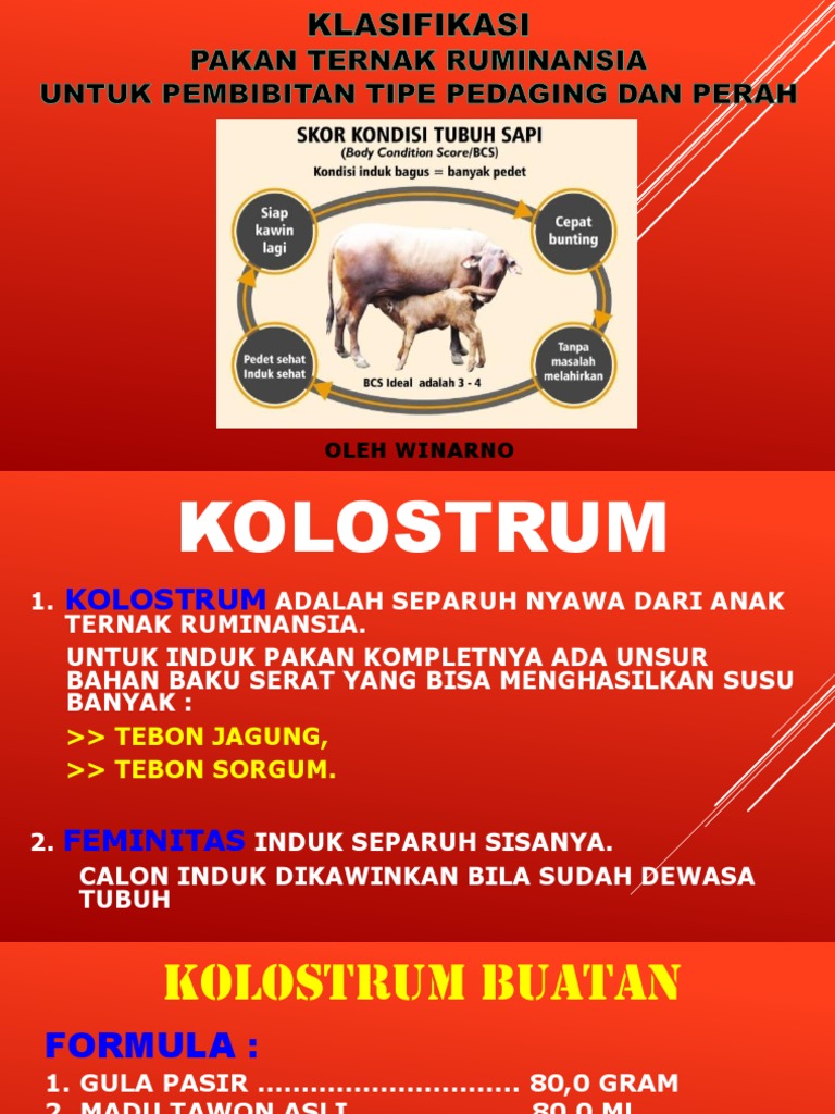 Panduan Pakan Ternak Ruminansia | PDF