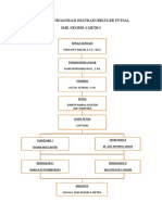 Struktur Organisasi Ekstrakurikuler Futsal