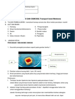 LKPD 2 Difusi Dan Osmosis (Transport Lewat Membran)