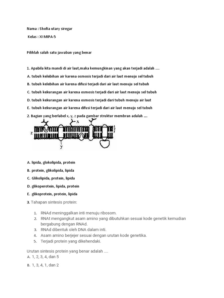 Soal Biologi Kelas XI MIPA tentang Osmosis dan Sintesis Protein | PDF