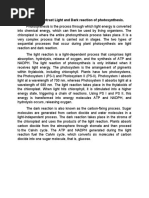 Compare and Contrast Light and Dark Reaction of Photosynthesis