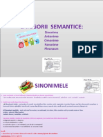 Categorii Semantice Pp