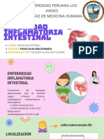 Enfermedad Inflamatoria Intestinal 