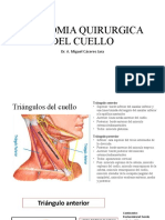 Anatomia Quirurgica Del Cuello