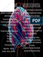 NEUROPLASTICIDADE