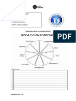 Ferramenta Roda Do Emagrecimento