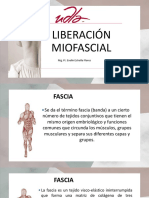 Clase Liberación Miofascial