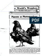 The Pigeons As Photographers: World's Wonders