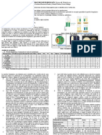 Informe 6