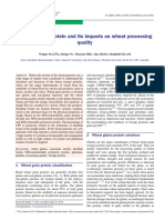 Wheat gluten protein and its impacts on wheat processing quality