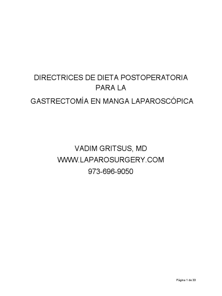 Gastric Sleeve Diet Booklet PDF Alimentos Dieta