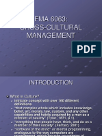 FMA 6063: Cross-Cultural Management