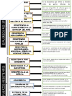 Mapa Conceptual Ferreas