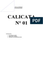 Calicata N