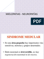 2.3 Medula Nervio