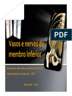 Vasos e Nervos Do Membro Superior PAEx (1)