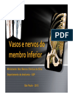 Vasos e Nervos Do Membro Superior PAEx (2)