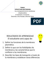 MG TEMA 2 Membrana Plasmatica