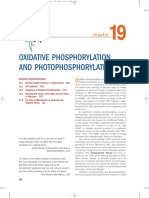 Fosforilación Oxidativa