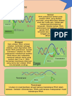 Proses Trnaskripsi