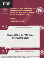 ARTICULO DE PAV..