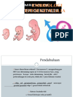 Embriologi Sistem Genitalia