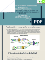 Replicación y Reparación. Vigi