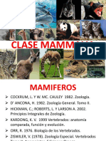 1 - Mamíferos-Clasificación