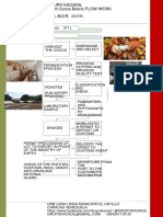 Grupo Kacaoil Flow Dried Cocoa Beans Chart-RBP 2