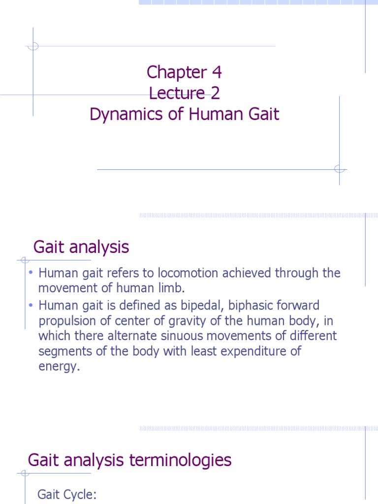 Dynamics of Human Gait Phases | PDF | Foot | Anatomical Terms Of Motion