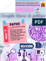 Conceptos Básicos de Patología SEMINARIO GRUPO D
