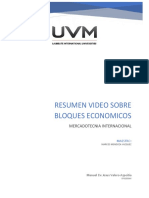 ResumenVideoBloquesEconomicos UVM