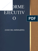 Informe Ejecutivo Del Caso Del Naranjero