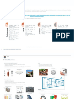 NEOM Presentation Sustainability - R0 PDF